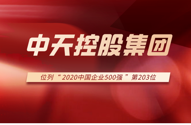 w66旗舰厅集团列2020中国企业500强第203位！